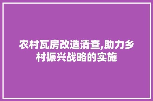 农村瓦房改造清查,助力乡村振兴战略的实施