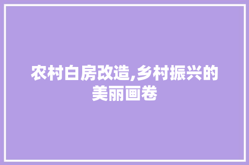 农村白房改造,乡村振兴的美丽画卷