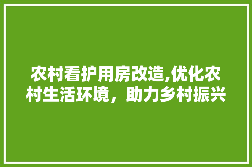 农村看护用房改造,优化农村生活环境，助力乡村振兴