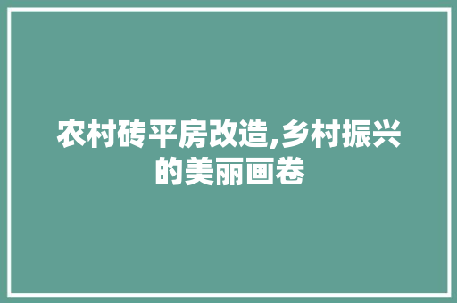 农村砖平房改造,乡村振兴的美丽画卷