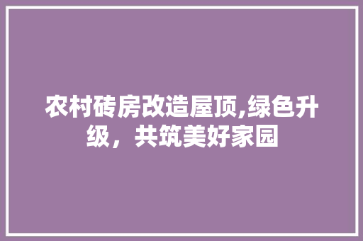农村砖房改造屋顶,绿色升级，共筑美好家园