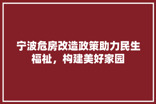 宁波危房改造政策助力民生福祉，构建美好家园