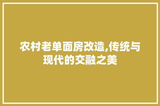农村老单面房改造,传统与现代的交融之美