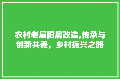 农村老屋旧房改造,传承与创新共舞，乡村振兴之路