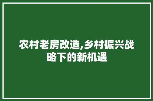 农村老房改造,乡村振兴战略下的新机遇