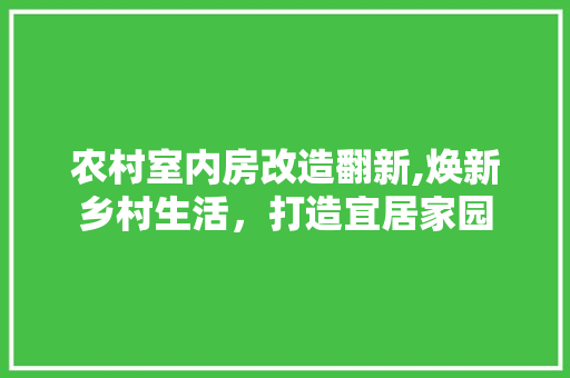 农村室内房改造翻新,焕新乡村生活，打造宜居家园