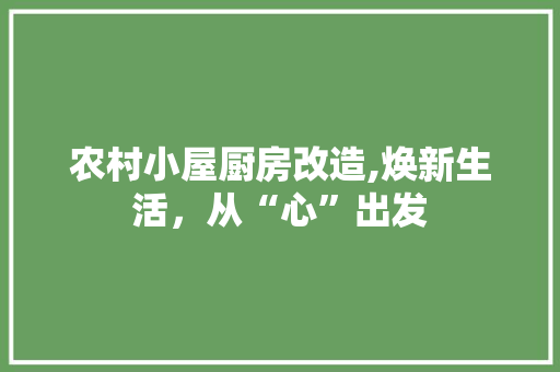 农村小屋厨房改造,焕新生活，从“心”出发
