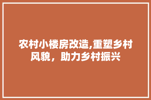 农村小楼房改造,重塑乡村风貌，助力乡村振兴