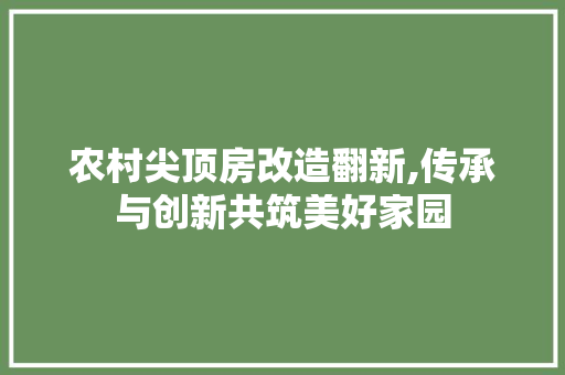 农村尖顶房改造翻新,传承与创新共筑美好家园