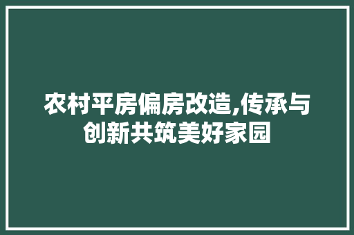 农村平房偏房改造,传承与创新共筑美好家园