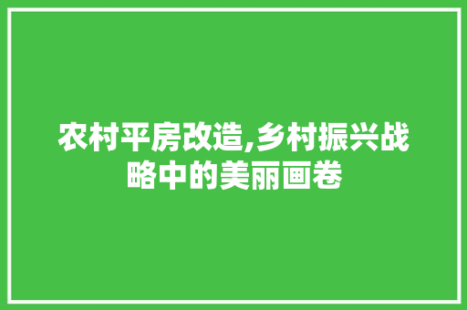 农村平房改造,乡村振兴战略中的美丽画卷