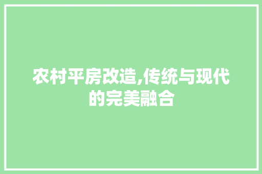 农村平房改造,传统与现代的完美融合