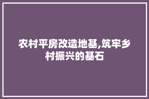 农村平房改造地基,筑牢乡村振兴的基石