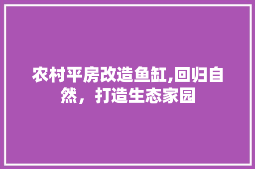 农村平房改造鱼缸,回归自然，打造生态家园