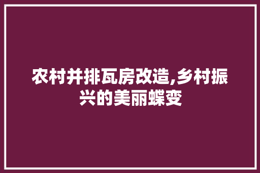农村并排瓦房改造,乡村振兴的美丽蝶变