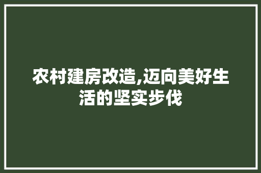 农村建房改造,迈向美好生活的坚实步伐