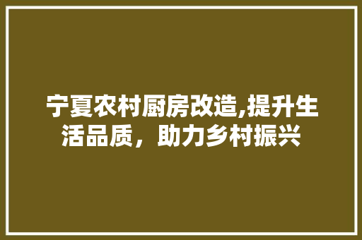 宁夏农村厨房改造,提升生活品质，助力乡村振兴
