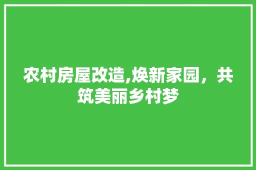 农村房屋改造,焕新家园，共筑美丽乡村梦