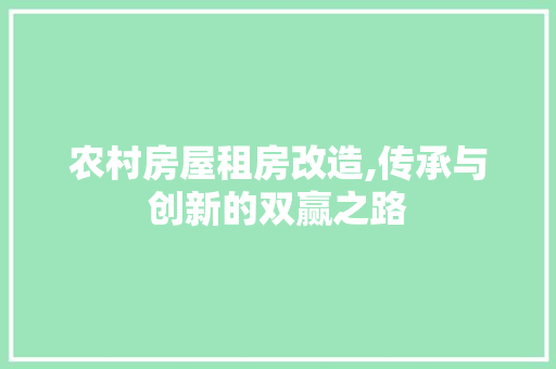 农村房屋租房改造,传承与创新的双赢之路