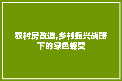 农村房改造,乡村振兴战略下的绿色蝶变