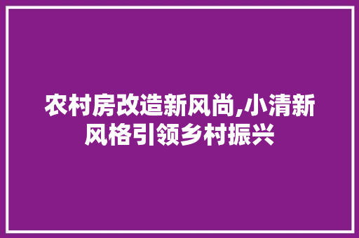 农村房改造新风尚,小清新风格引领乡村振兴