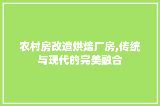 农村房改造烘焙厂房,传统与现代的完美融合