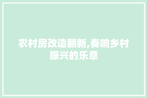 农村房改造翻新,奏响乡村振兴的乐章