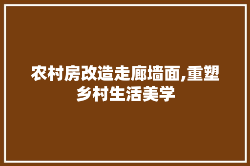 农村房改造走廊墙面,重塑乡村生活美学
