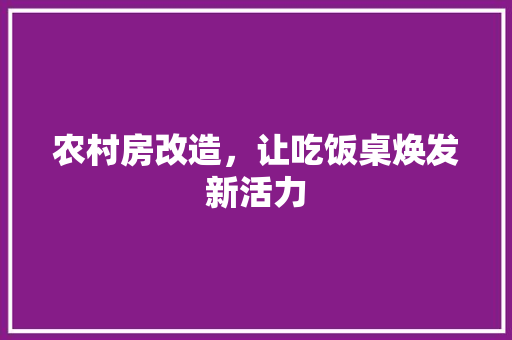 农村房改造，让吃饭桌焕发新活力