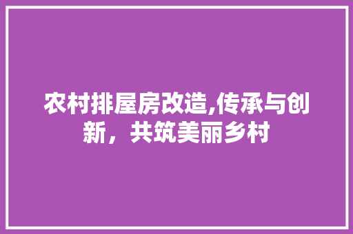 农村排屋房改造,传承与创新，共筑美丽乡村
