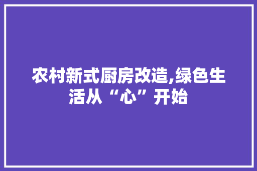 农村新式厨房改造,绿色生活从“心”开始