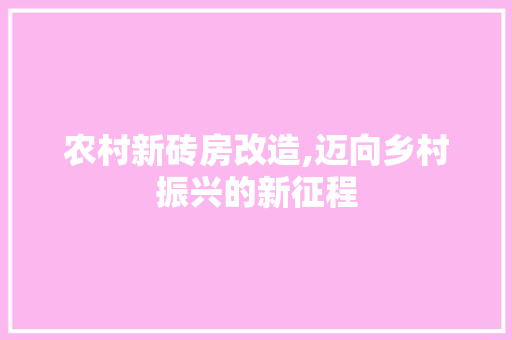 农村新砖房改造,迈向乡村振兴的新征程