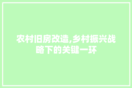 农村旧房改造,乡村振兴战略下的关键一环
