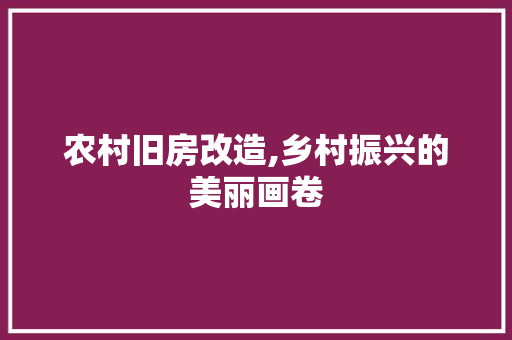农村旧房改造,乡村振兴的美丽画卷