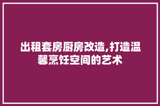 出租套房厨房改造,打造温馨烹饪空间的艺术