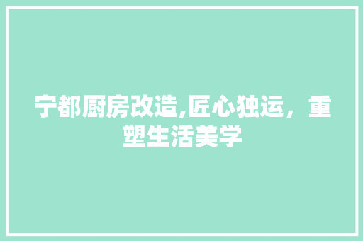 宁都厨房改造,匠心独运，重塑生活美学