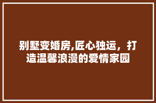 别墅变婚房,匠心独运，打造温馨浪漫的爱情家园