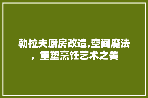 勃拉夫厨房改造,空间魔法，重塑烹饪艺术之美
