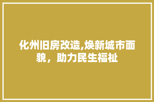 化州旧房改造,焕新城市面貌，助力民生福祉