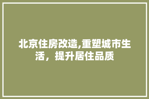 北京住房改造,重塑城市生活，提升居住品质