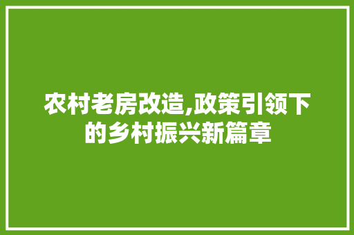 农村老房改造,政策引领下的乡村振兴新篇章