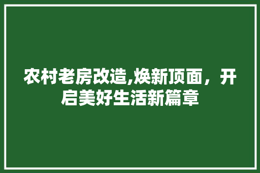 农村老房改造,焕新顶面，开启美好生活新篇章