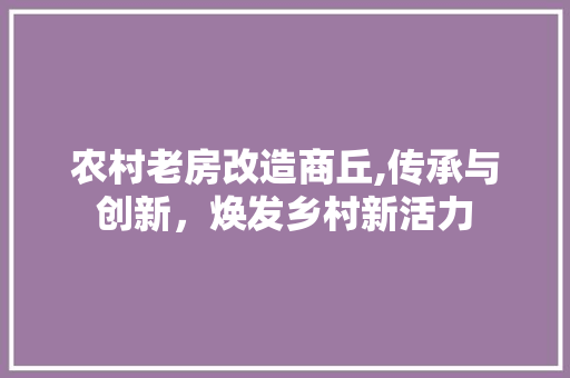农村老房改造商丘,传承与创新，焕发乡村新活力