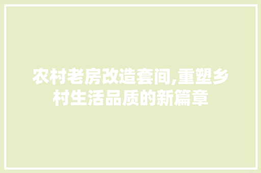 农村老房改造套间,重塑乡村生活品质的新篇章