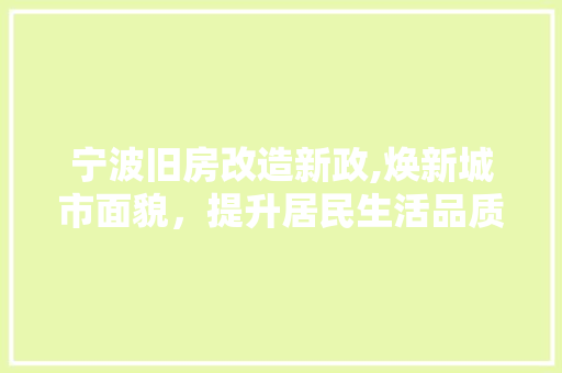 宁波旧房改造新政,焕新城市面貌，提升居民生活品质