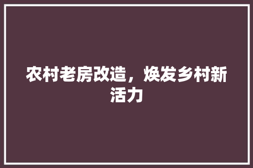 农村老房改造，焕发乡村新活力