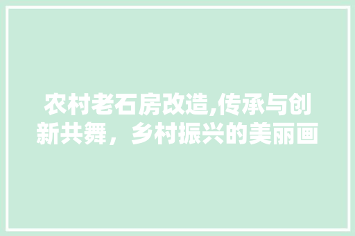 农村老石房改造,传承与创新共舞，乡村振兴的美丽画卷