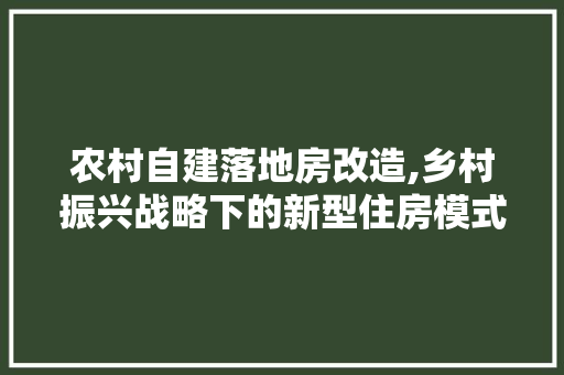 农村自建落地房改造,乡村振兴战略下的新型住房模式