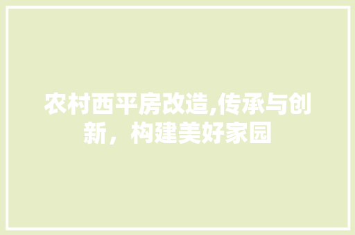 农村西平房改造,传承与创新，构建美好家园
