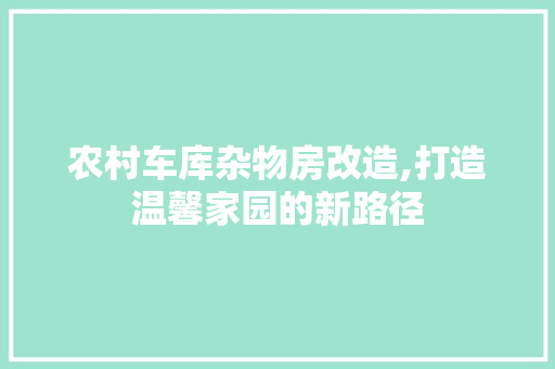 农村车库杂物房改造,打造温馨家园的新路径